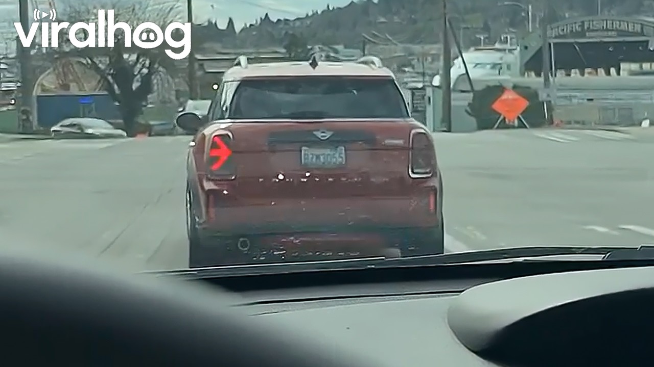 Confusing Blinker || ViralHog