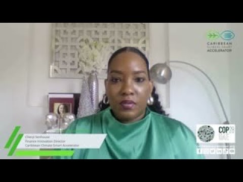 The CCSA Road to COP28 | Cheryl Senhouse CCSA Finance Innovation Director