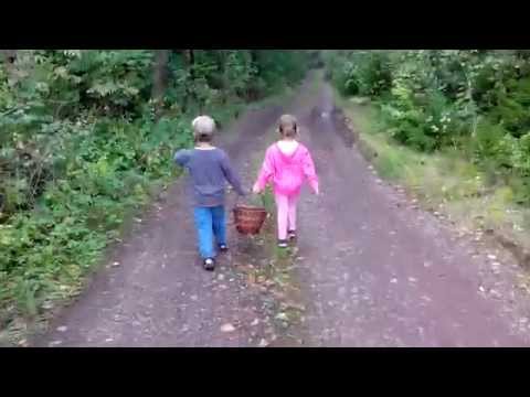 Podzim 2014- houbaři