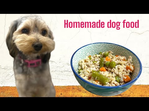 The Best Homemade Dog Food Recipe: Just 3 Ingredients!