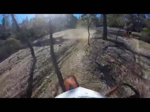 Trail Therapy - No Asbestos