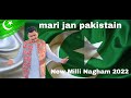 New milli 2022! 14 August 2022! milli naghm 2022 New pakistan song 2022