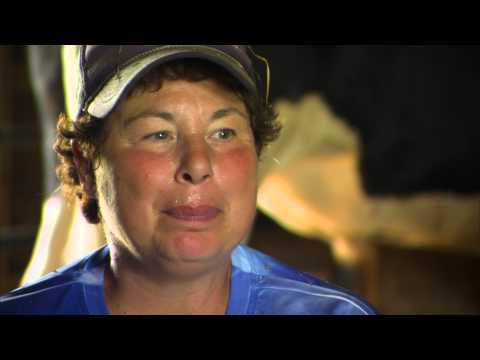 Dog's Best Friend Promo