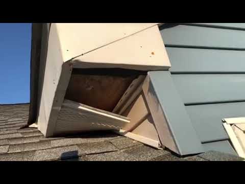 A Positive Setup for Raccoon in Point Pleasant, NJ