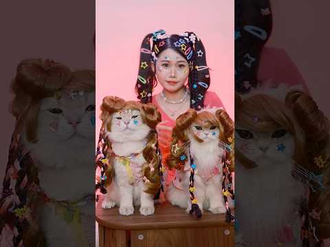 😾: Naykilla❌ Naykiwi✅ #funnyvideo #funnycats #comedy #kucinglucu #cat