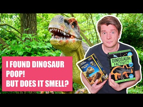 Two Dinosaur Science Kit reviews - which Natural History Toy wins? [2021]