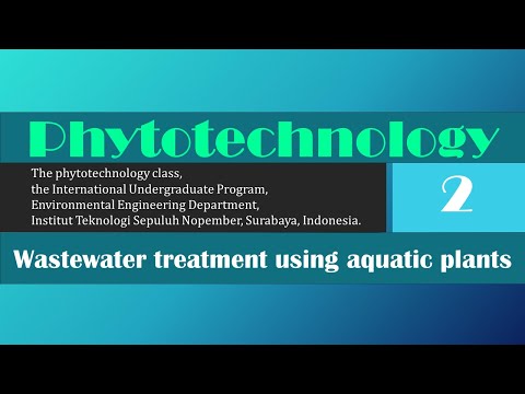 Phytotechnology class (2) Gusti Ayu Agung Indira Prabawati #phytotechnology #environment