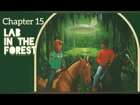 The Flying Saucer Mystery // Chapter 15 // Lab in the Forest