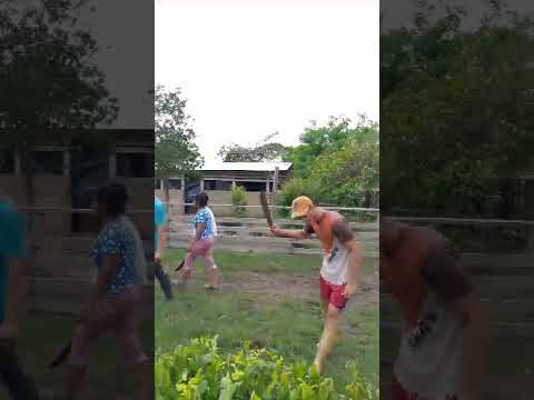 yuni en AgroFinca La victoria Arismendi estado Barinas