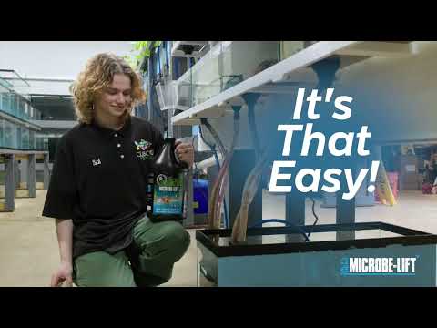 How to Instantly Cycle Your Aquarium & Add Fish on Day One -Microbe-Lift Special Blend & Nite-Out II