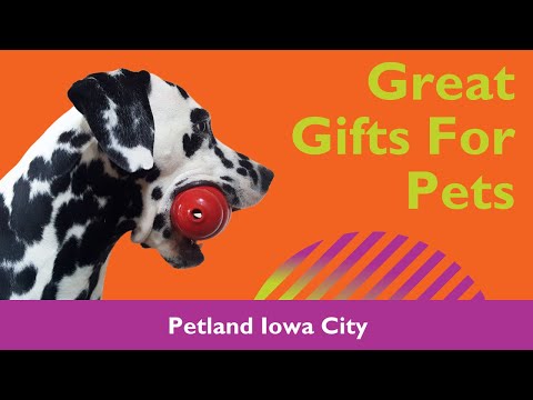 Great Pet Gifts