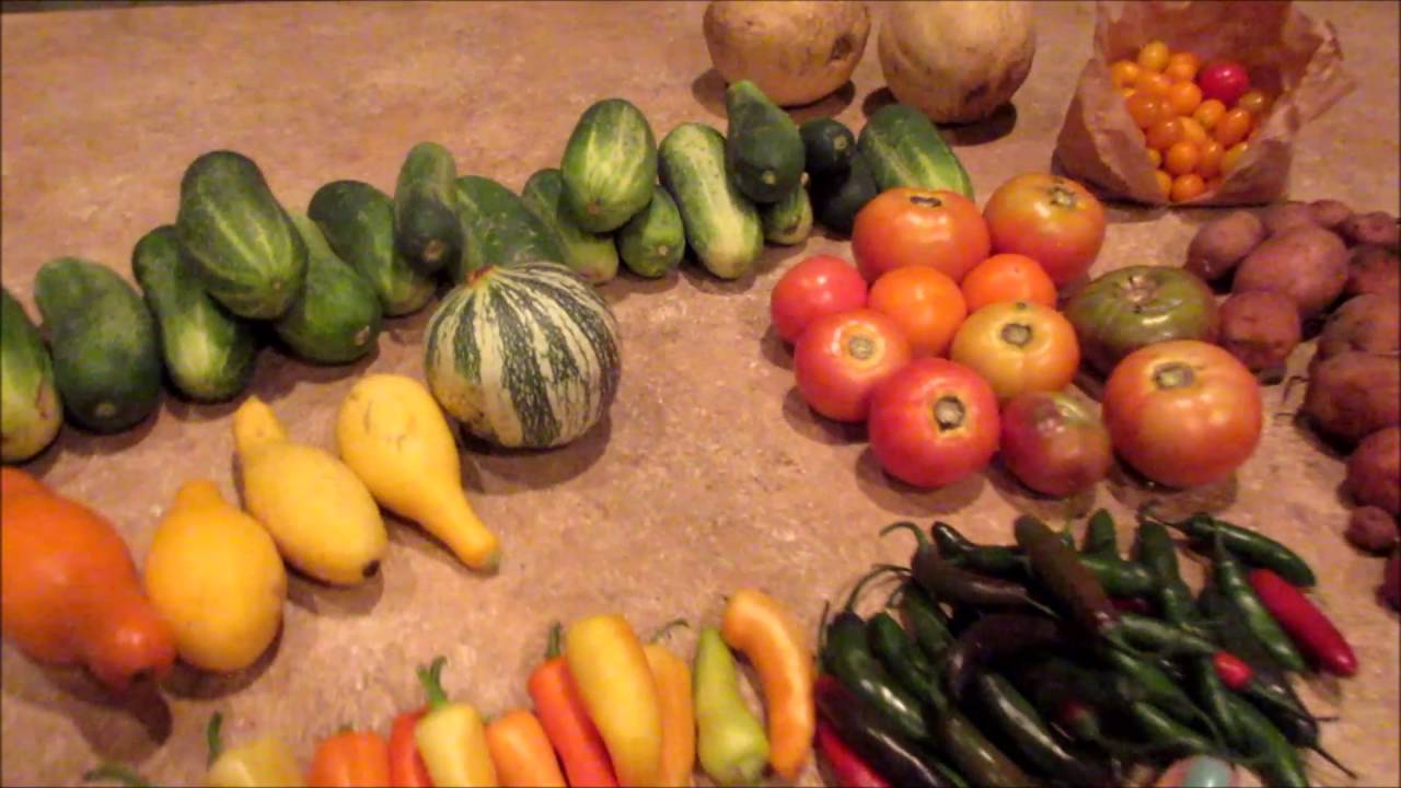 CSA HAUL WEEKS 8, 9, 10 & 11 | SUMMER 2016