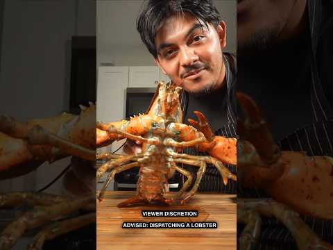 Quick and humane is the only way. #lobster #howto