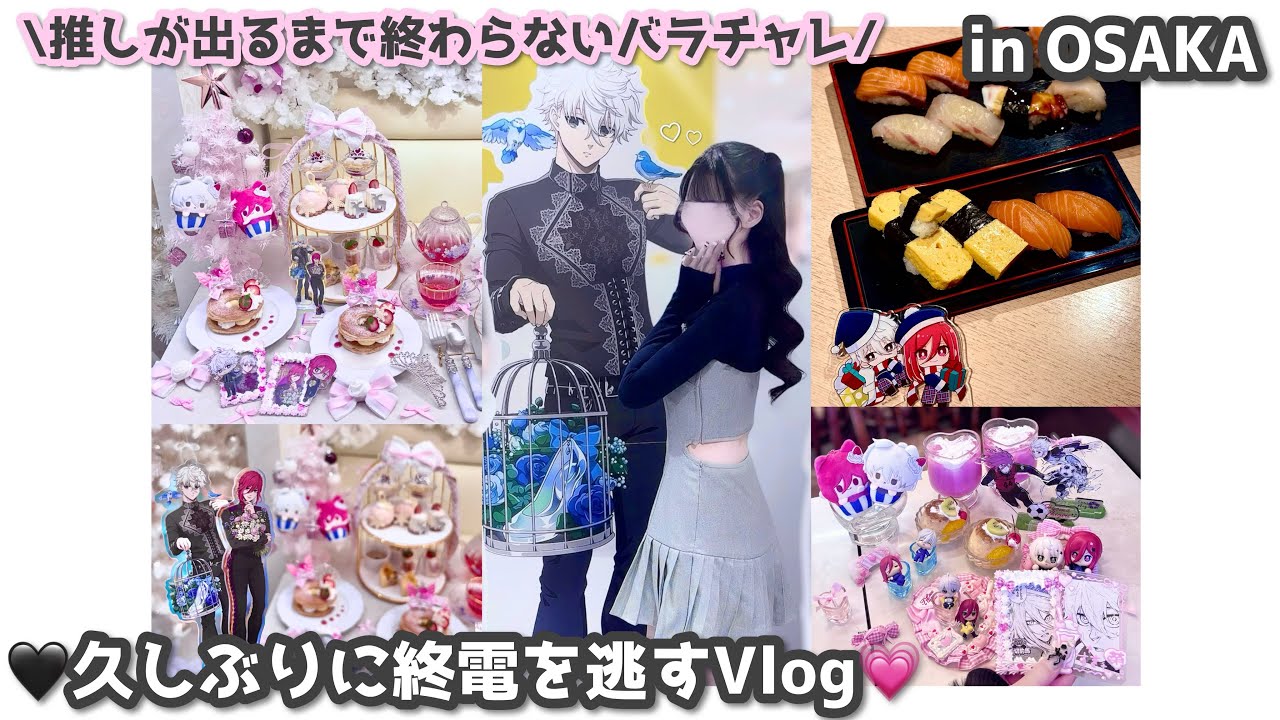 ブルーロック┊ 推しが出るまで終わらないバラチャレVlog in Osaka🎀💕