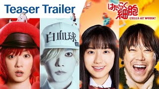 Teaser Trailer [English Subtitles]