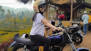 Download lagu MODIFIKASI RX KING MODEL GOOD LOOKING😍🤤 mp3