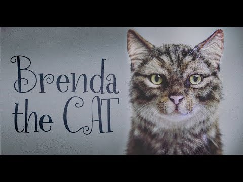Brenda the Cat: CGi Breakdown