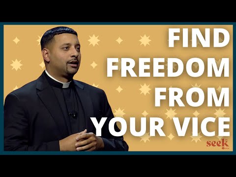 The 7 Capital Vices and Their Remedies | Fr. Josh Johnson | SEEK24