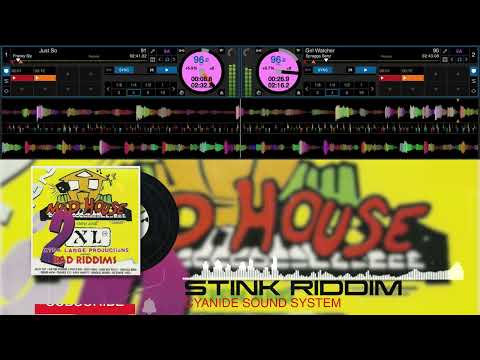STINK RIDDIM MIX 1996 #cyanidesoundsystem #Stinkriddim #90sdancehall #dancehall #davekelly