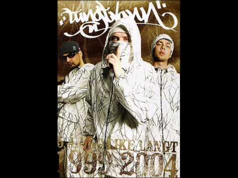 Tungtvann - Reinspikka Hip Hop