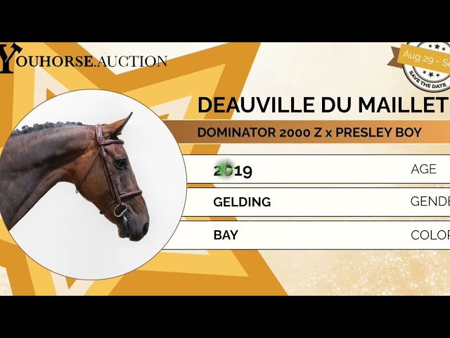 Deauville du Maillet showvideo