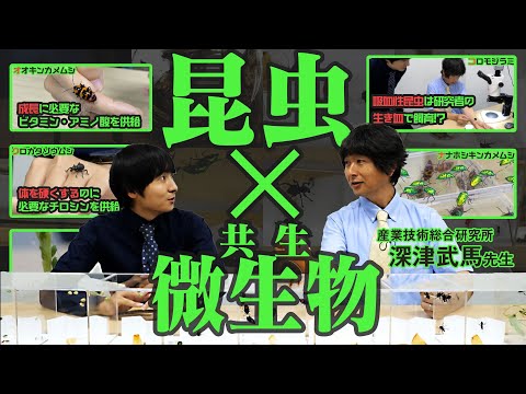 生物学における共生: 意味と例