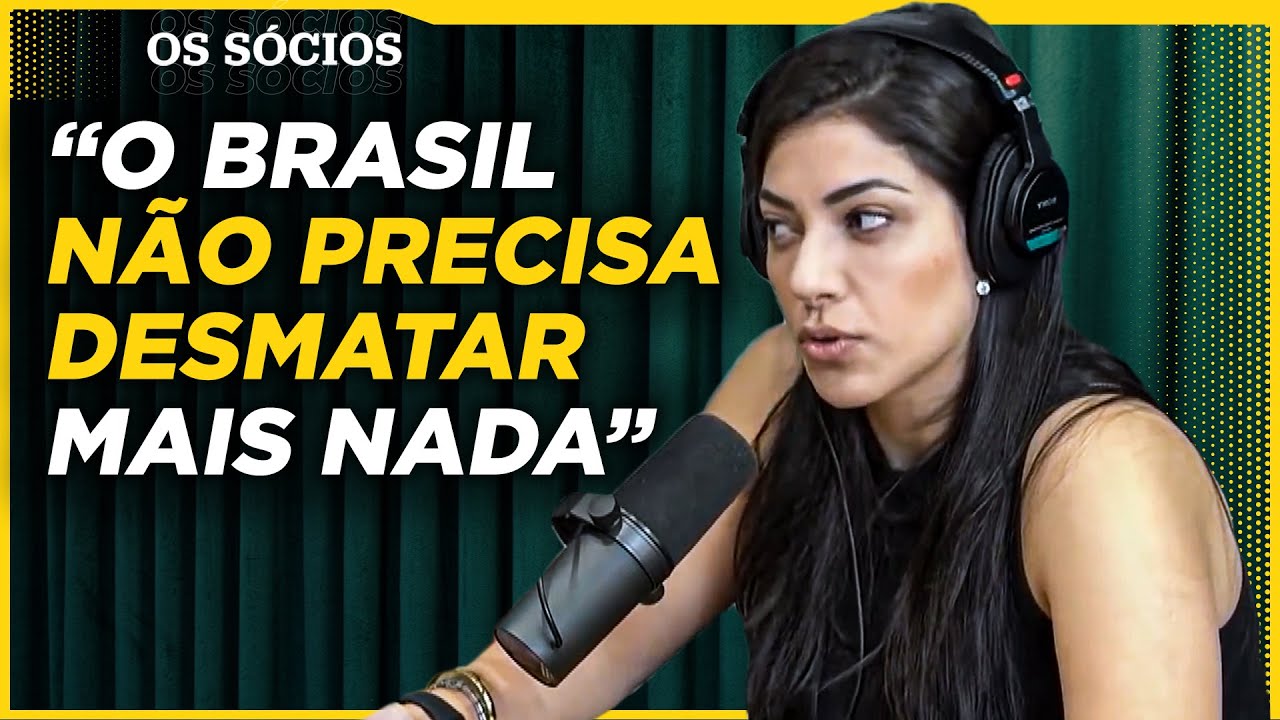O AGRONEGÓCIO É CULPADO PELO DESMATAMENTO NO BRASIL?