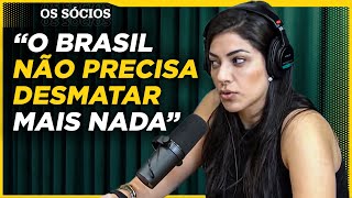 O AGRONEGÓCIO É CULPADO PELO DESMATAMENTO NO BRASIL?