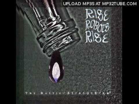 Rise Robots Rise - The Bottle