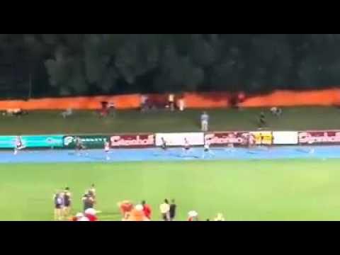 Affies o/15 seuns aflos