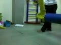 swing swing alina
