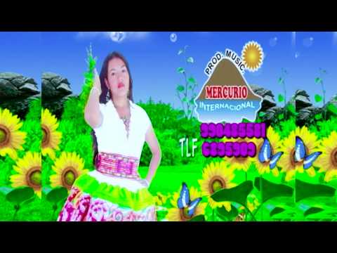 CARIÑOSITA DE HUAMANMARCA MAYUMI QUISPE VIDEO OFICIAL TEMA MIRA COMO BAILO
