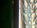 Hajii