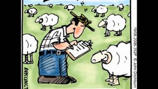 Sarah Blasko - Counting Sheep