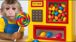 Finger Family | Baby Monkey Nursery Rhymes & Kids Songs