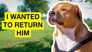 I Wanted to Return My Dog to the Shelter | My Dog Adoption Experience