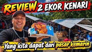 Download lagu UNBOXING‼️TURNS OUT THE MARKET IS FULL OF GREAT CANARIES IF YOU'RE PICKY ENOUGH mp3 Download lagu UNBOXING‼️TURNS OUT THE MARKET IS FULL OF GREAT CANARIES IF YOU'RE PICKY ENOUGH mp3