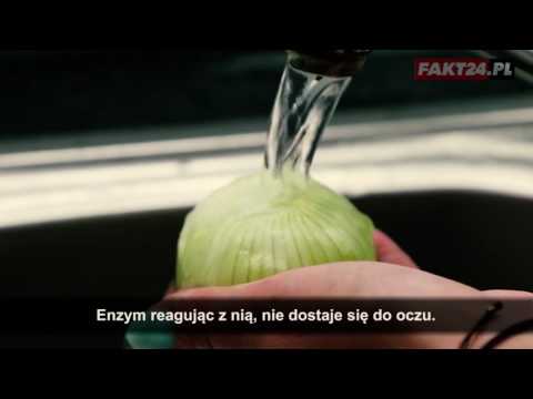 Maska do włosów na jogurt jaj koniak Dając opinii konserwatorskich włosy