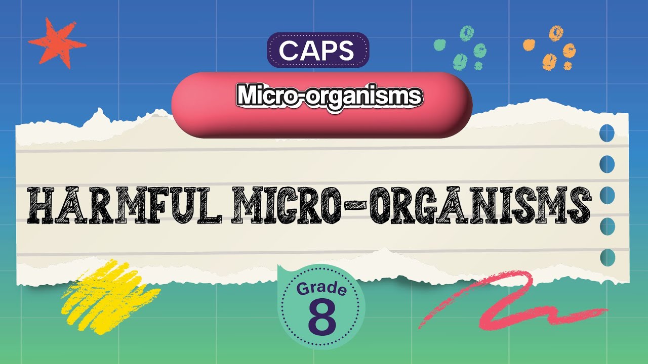 [GRADE 8] Harmful micro-organisms