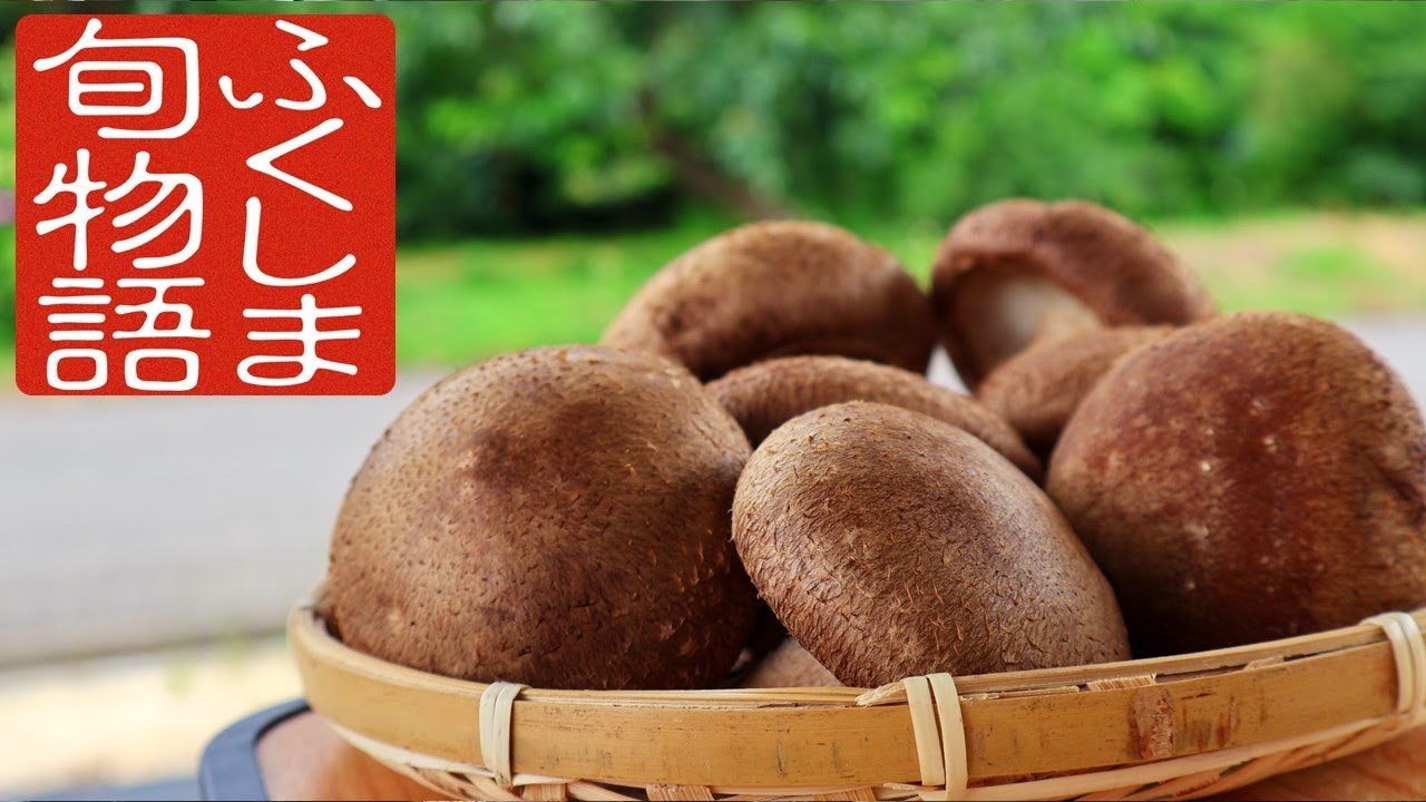 ふくしま旬物語　菌床しいたけ　～徹底した環境管理が育む、香りとうまみ～