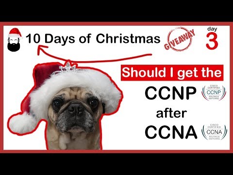 CCNA Exam 2 Exams or 1 ICND1 CCENT ICND2 or CCNA Composite