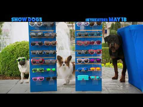 Show Dogs (TV Spot 'Justice Kids')