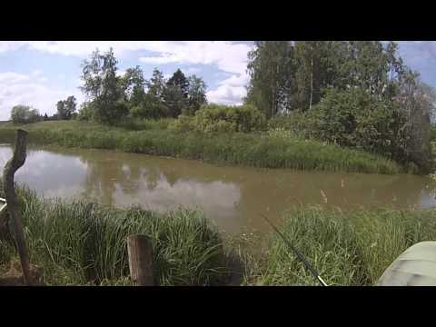 Kalassa Jarkon kanssa Villikkalassa