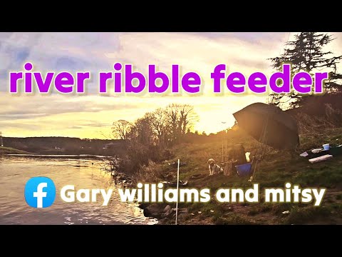 the river ribble at ribchester @garywilliamsandmitsy #hinders #riverfishing #ribble #silverfish