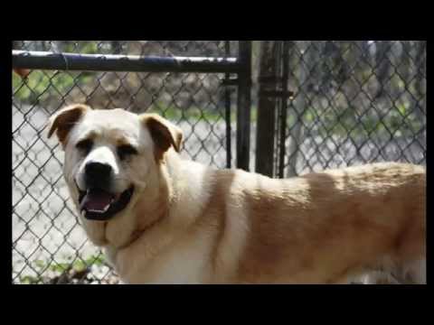 I BELIEVE SOMEBODY'S OUT THERE WATCHING