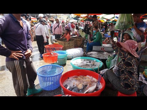 Compilation Food Market in Cambodia - Plenty All Kind Alive Fish, Dry Fish & More Seafood Selling
