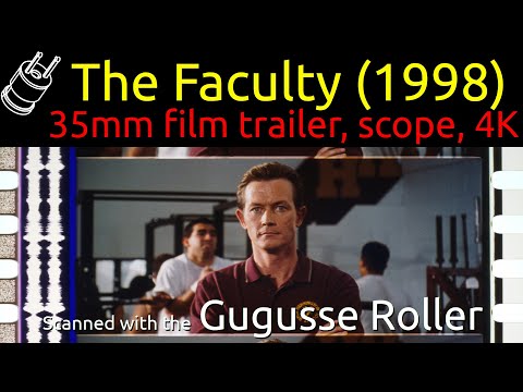 The Faculty