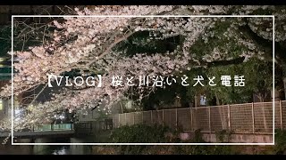 【VLOG】桜と川沿いと犬と電話