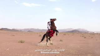 horse riding in arabic song