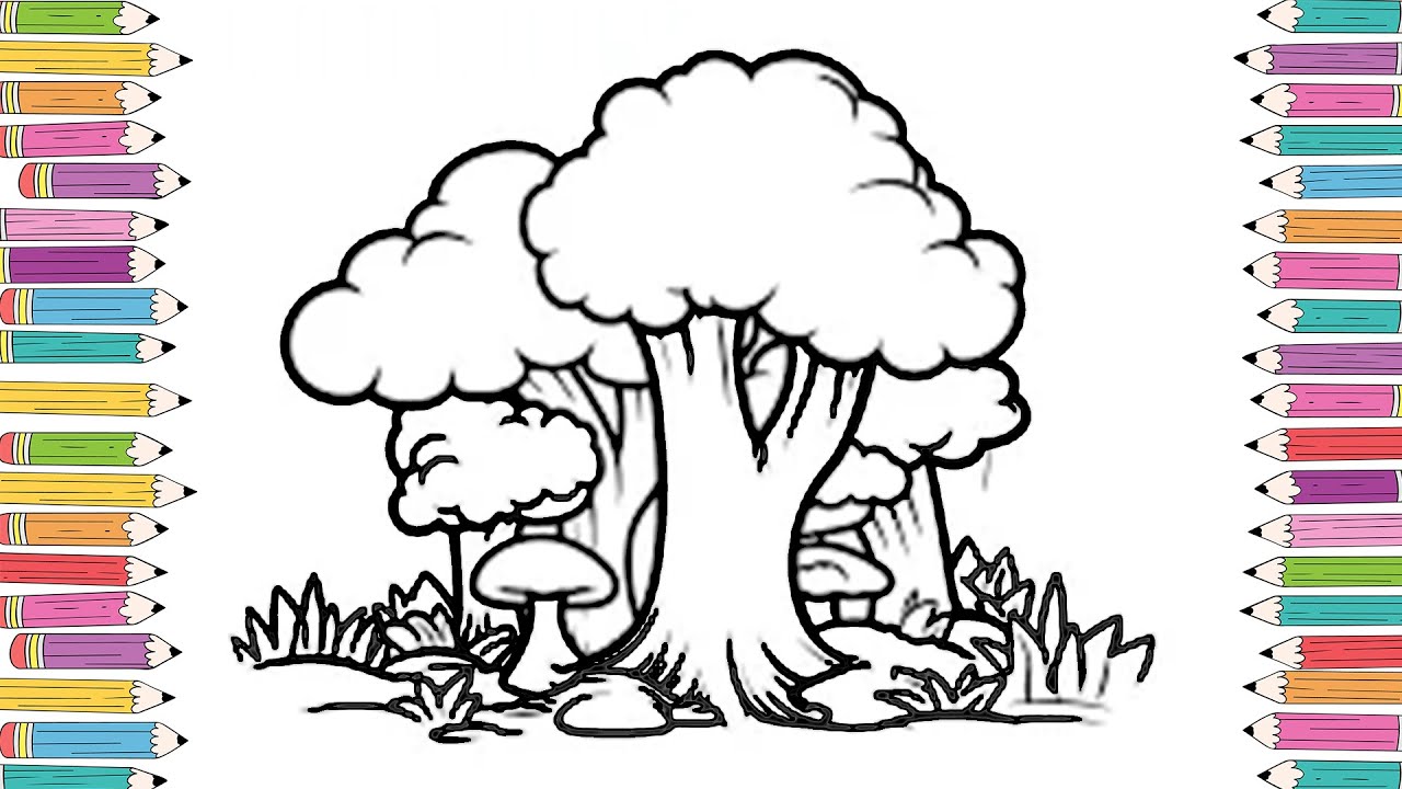 How to Draw And Color Tree  | Tree Coloring Pages for Kids